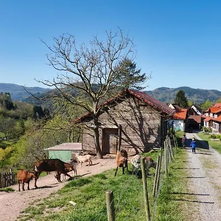 Eckberg Near Centre & Nature *